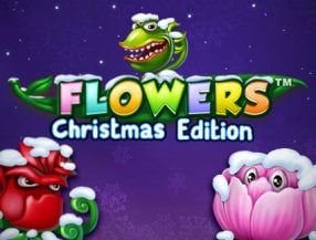 Flowers Christmas Edition